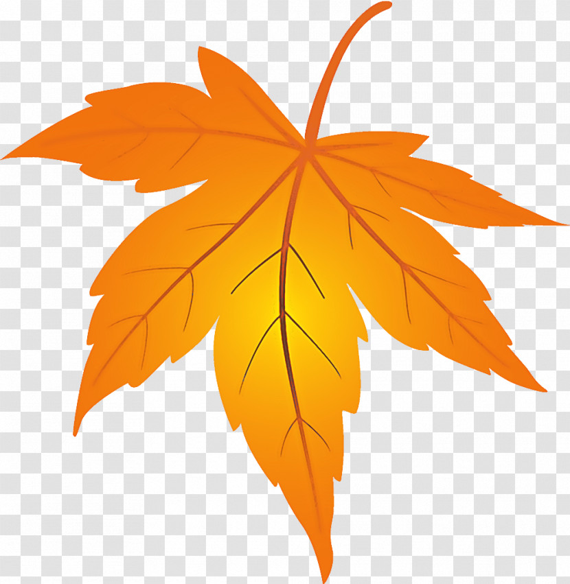 Maple Leaf Fallen Leaf Dead Leaf Transparent PNG