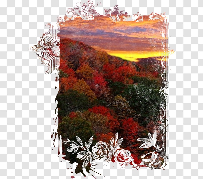 Landscape Painting Drawing - Tree Transparent PNG