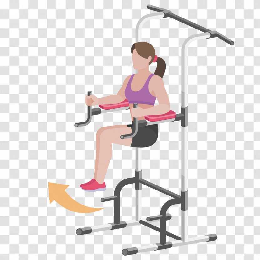 Fitness Centre Physical Exercise - Tree - Woman Transparent PNG