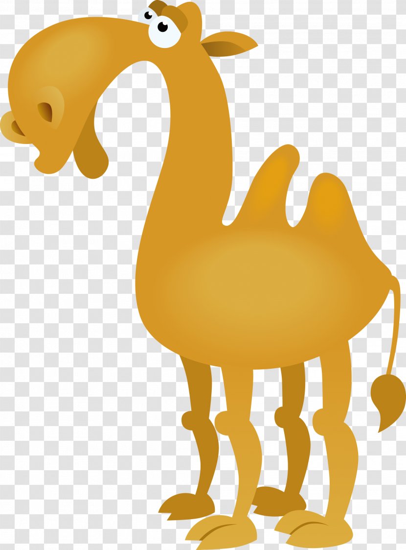 Bactrian Camel Cartoon Drawing Clip Art - Royaltyfree - Vector Transparent PNG