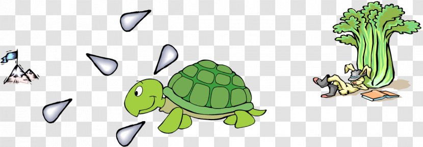 The Tortoise And Hare Turtle Teamwork Rabbit - Organism Transparent PNG