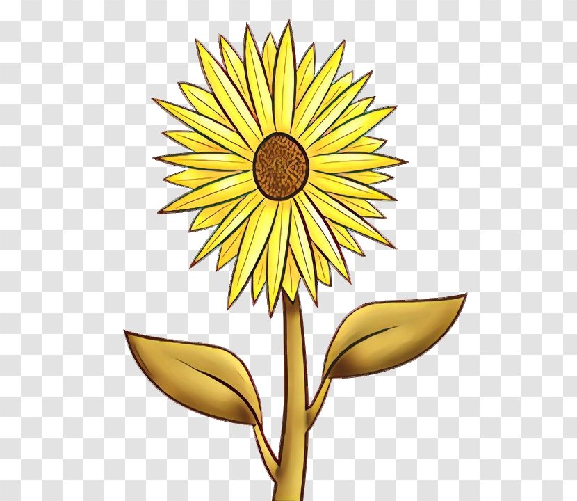 Sunflower - Blackeyed Susan - Wildflower Transparent PNG