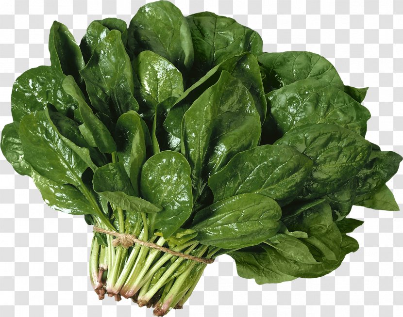 Spinach Leaf Chard Vegetable Tissue - Salad Image Transparent PNG