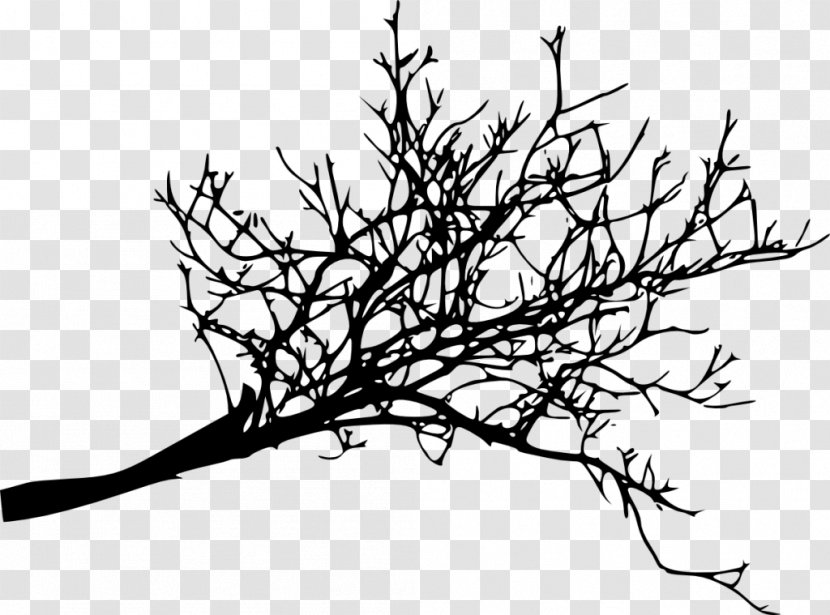 Branch Twig Tree Woody Plant - Artwork - Black And White Flowers Decorative Backgrou Transparent PNG