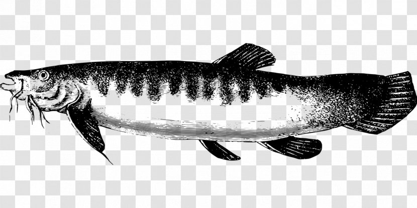 Sardine Icon Design Clip Art - Forage Fish - Plateau Freshwater Lake Transparent PNG