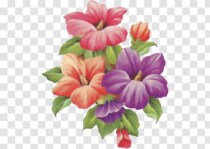 Flower Drawing Painting Decoupage - Pictures Of Flowers Transparent PNG
