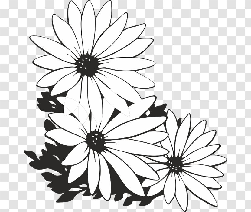 Flower Black And White - Visual Arts Transparent PNG