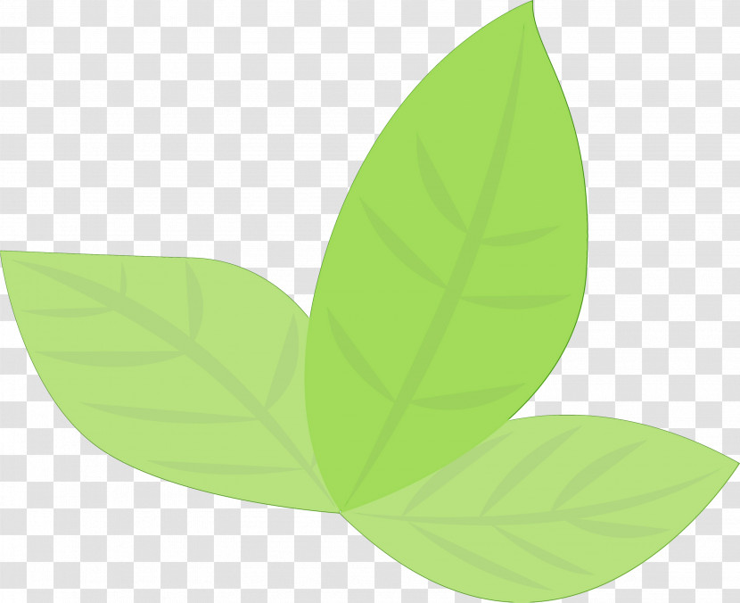 Leaf Green Plant Logo Flower Transparent PNG