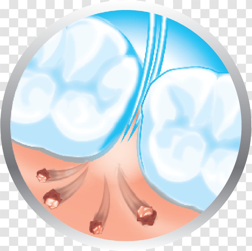 Nose Circle Microsoft Azure - Jaw - Tooth Germ Transparent PNG