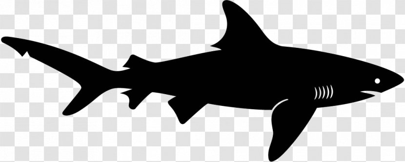 Shark Silhouette Clip Art - Marine Biology Transparent PNG