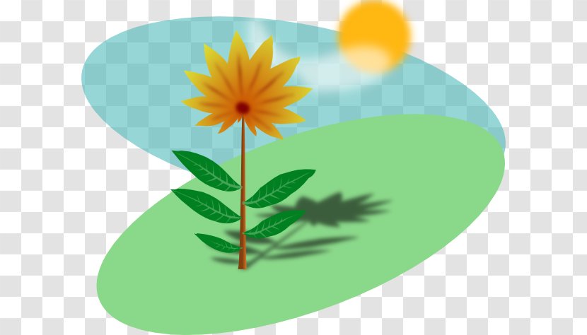 Plant Sunlight Clip Art - Daisy Family - Need Cliparts Transparent PNG