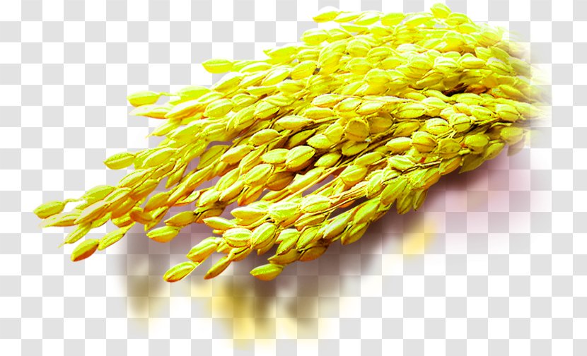 Rice Download Computer File - Staple Food - Yellow Decoration Pattern Transparent PNG