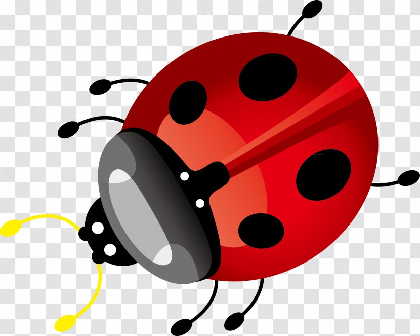 Ladybird Insect Euclidean Vector - Coccinella Septempunctata - Seven Star Ladybug Decoration Transparent PNG