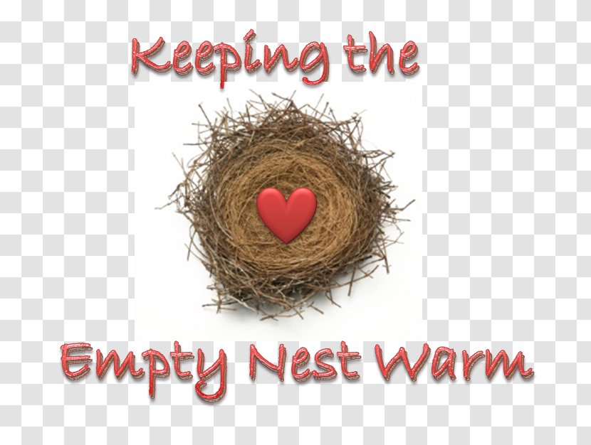 Empty Nest Syndrome Keeping Quilt Child Photography - Heart Transparent PNG