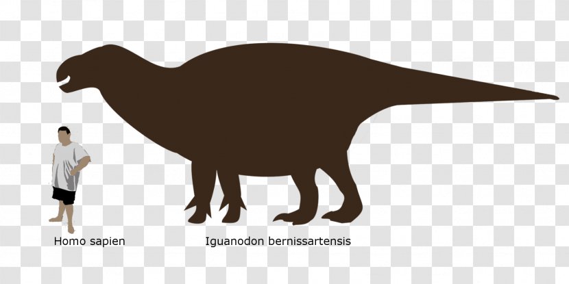 Dinosaur Triceratops Ankylosaurus Iguanodon Stegosaurus - Silhouette Transparent PNG