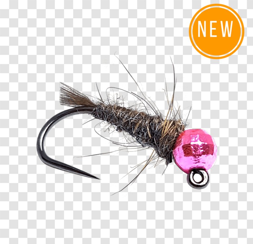 Artificial Fly Fishing Nymphing - Nymph Transparent PNG