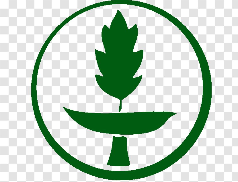 Unitarian Universalist Association Universalism Unitarianism Environmentally Friendly - Area - Shredded Transparent PNG