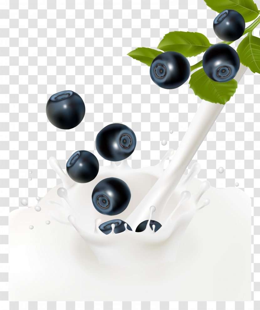 Milk Frutti Di Bosco Euclidean Vector Fruit - Coconut - Blueberry,milk Transparent PNG