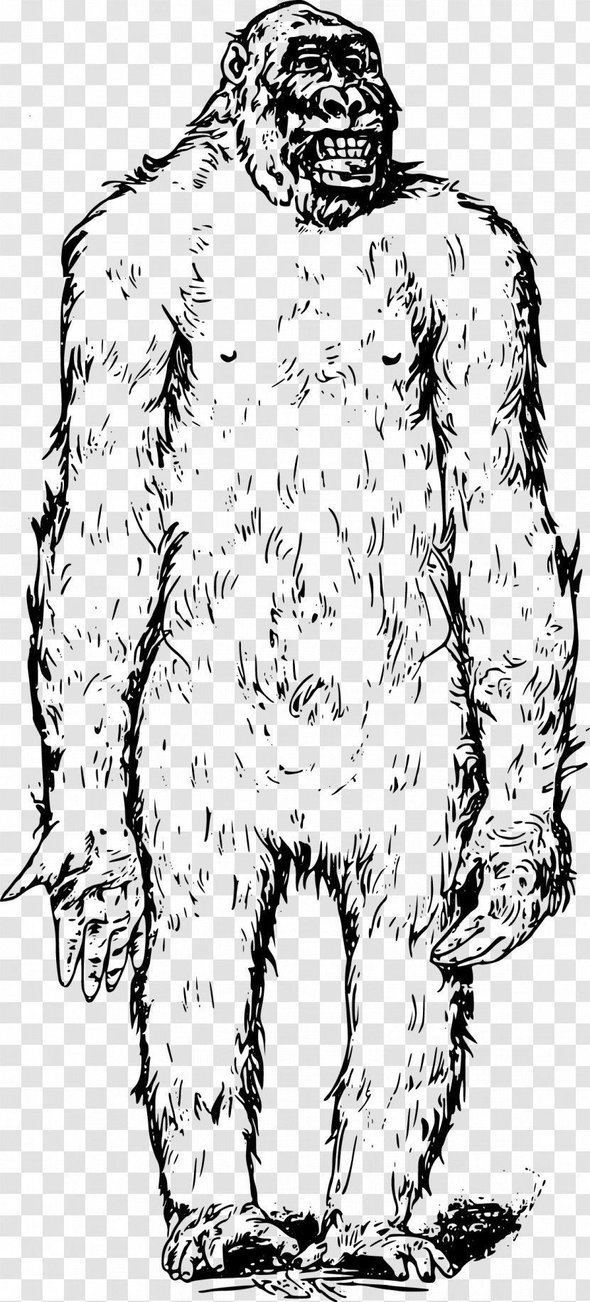 Bigfoot Ape Clip Art - Watercolor - Vector Snowman Transparent PNG