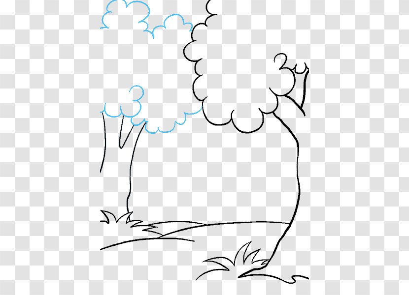 Line Art Drawing Cartoon How To Draw Trees Sketch - Heart - Tropical Rainforest Transparent PNG