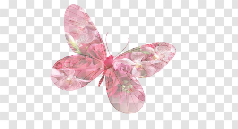 Butterflies And Moths Venice Carnival - Pink - Antique Transparent PNG