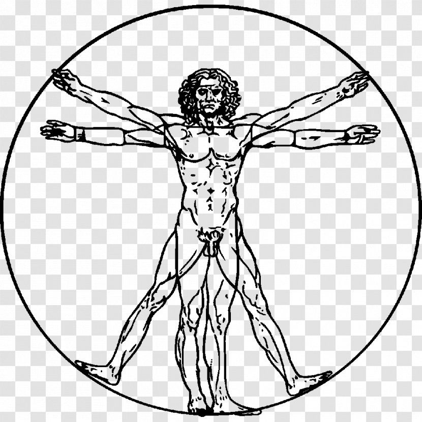 Vitruvian Man Royalty-free Stock Photography - Flower - Leonardo Da Vinci Transparent PNG