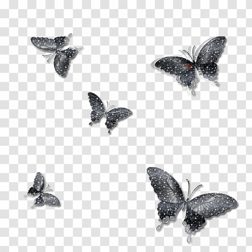 Monarch Butterfly Insect Moth Clip Art - Membrane Winged Transparent PNG