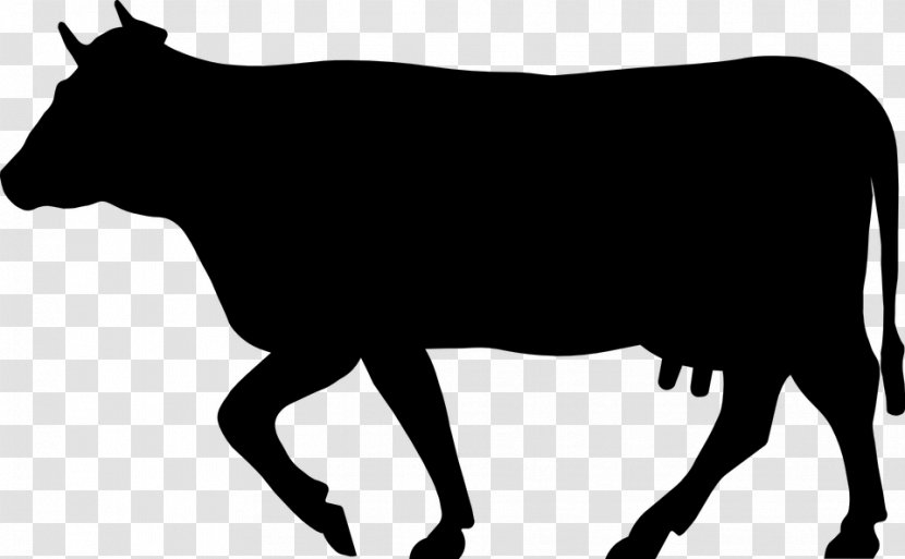 Beef Cattle Jersey Dairy Silhouette Farming - Livestock Transparent PNG