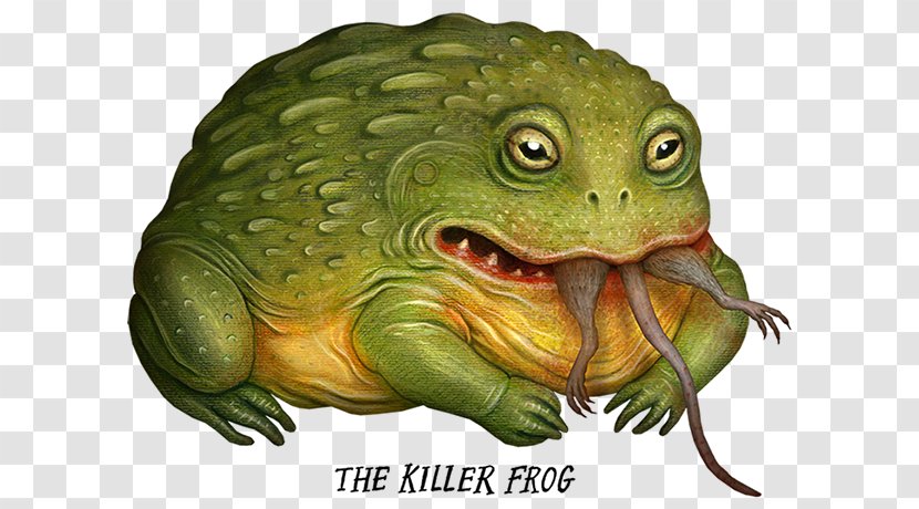 American Bullfrog Toad Amphibian Tree Frog - Reptile - Nature，sea Animals，marine Microorganisms Transparent PNG