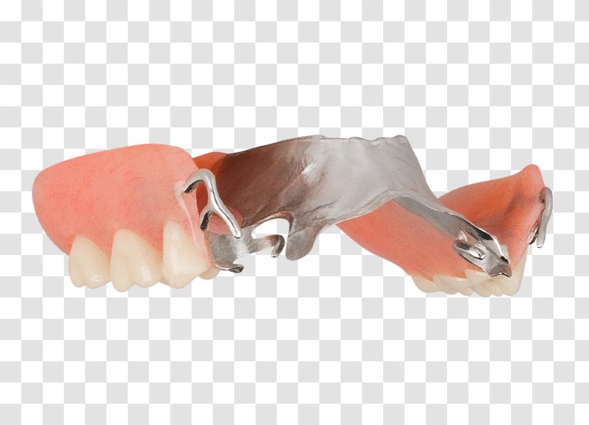 Thumb Shoe - Aspen Dental Transparent PNG