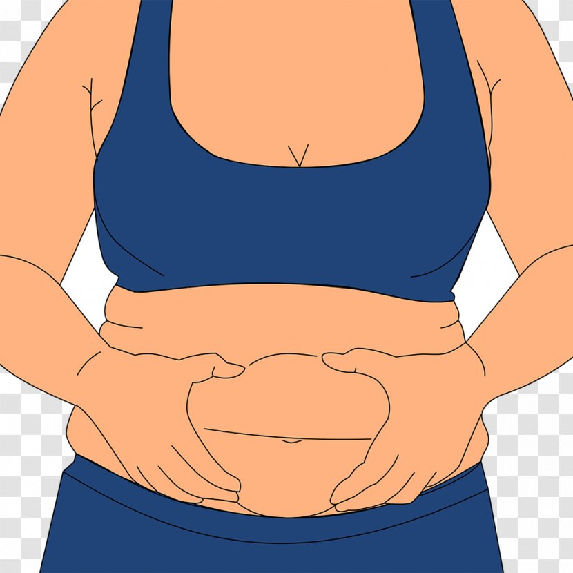 Abdominal Obesity Cellulite Exercise Health - Flower Transparent PNG