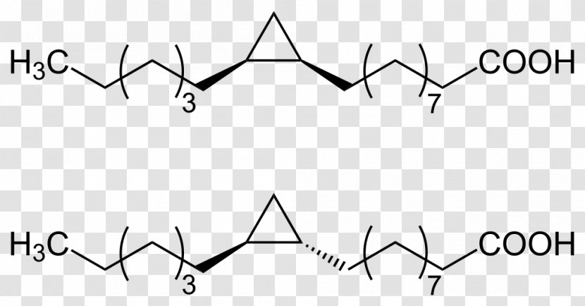 Isoleucine Branched-chain Amino Acid Lactobacillic Chemical Compound - Tree - Stereoscopic Transparent PNG