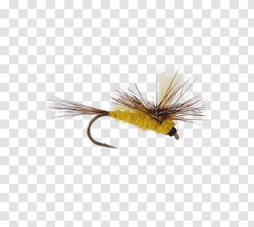 Artificial Fly Fishing Nymph Stoneflies Rods - Quill - Tying Transparent PNG