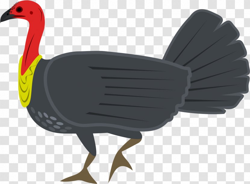 Turkey Thanksgiving - Flightless Bird - Animal Figure Figurine Transparent PNG