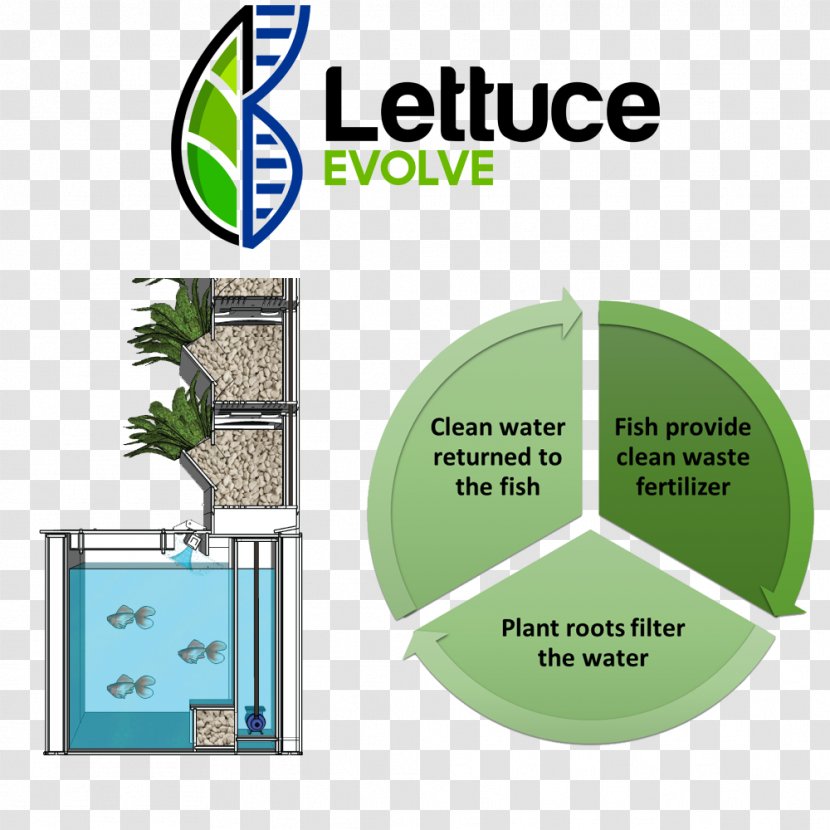 Aquaponics Hydroponics Cerebrospinal Fluid Garden Punción - Area - Indoor Grow Box Food Transparent PNG