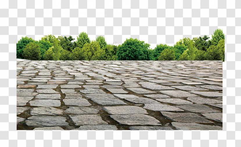 Download Road - Roof - Foliage Transparent PNG