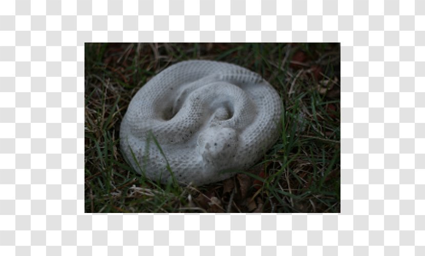 Concrete Snakes Statue Stone Carving - Fauna - Snake Transparent PNG