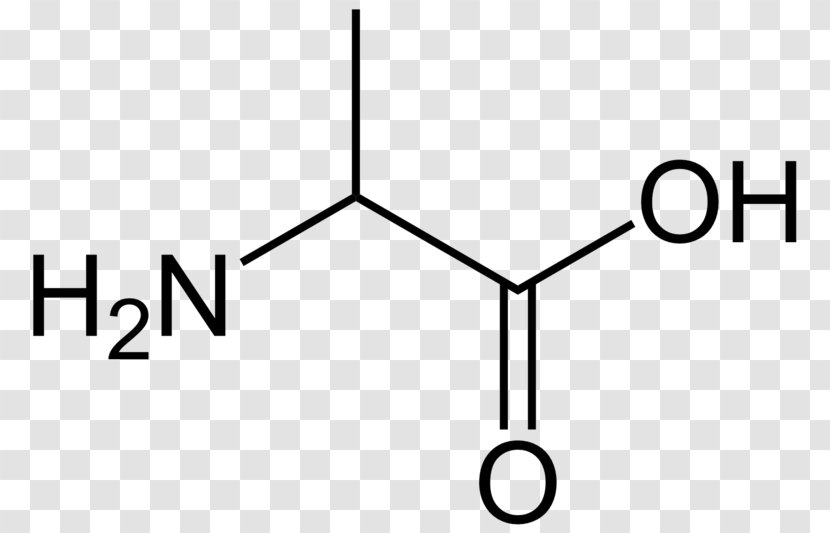 Amino Acid Glycine Carboxylic Amine - Acetic Transparent PNG