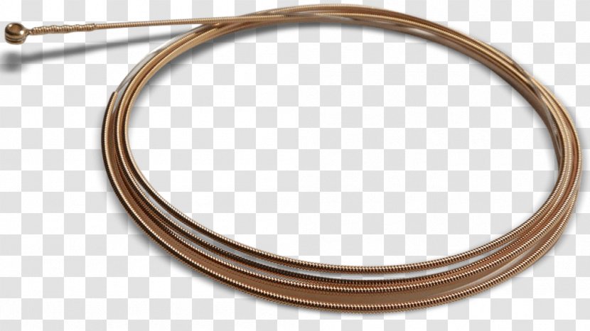 Steel-string Acoustic Guitar Phosphor Bronze - Steelstring - Best Bass Strings Transparent PNG