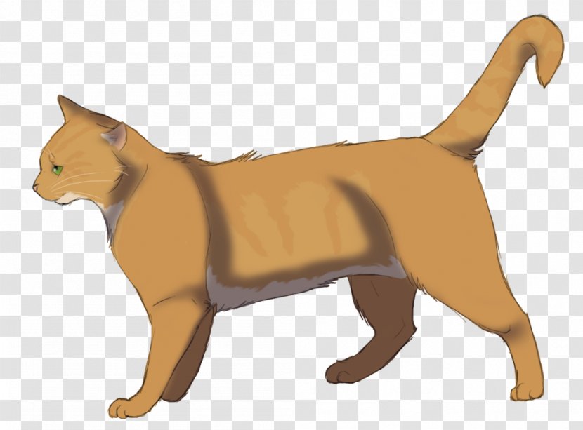 Whiskers Tabby Cat Warriors Piketooth Transparent PNG