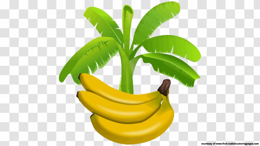 Banana Leaf Food Clip Art - Diet - Tree Transparent PNG