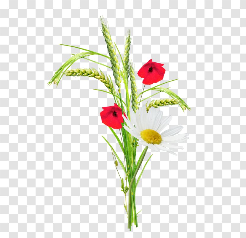Poppy Flower Clip Art - Petal - Cartoon Creative Plant Wheat Transparent PNG