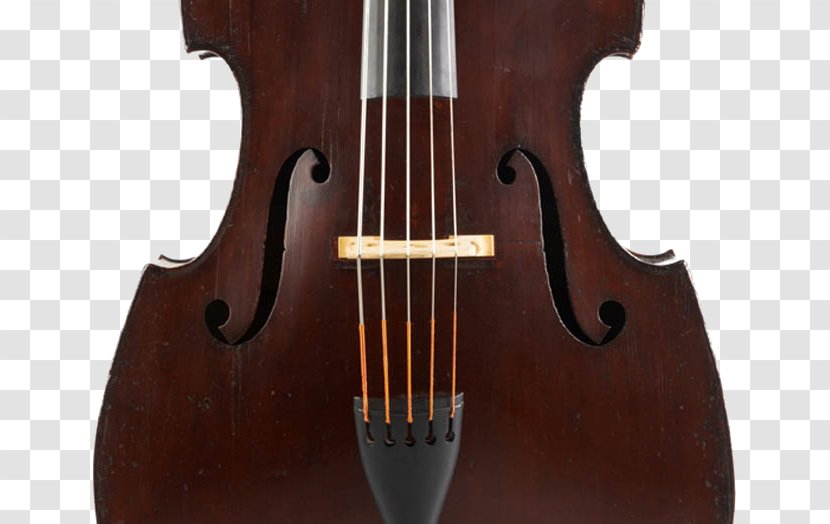 Bass Violin Double Violone Viola Guitar - Flower Transparent PNG