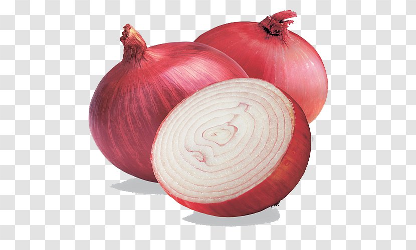 India Red Onion Shallot Organic Food White - Flavor - Free Image Transparent PNG