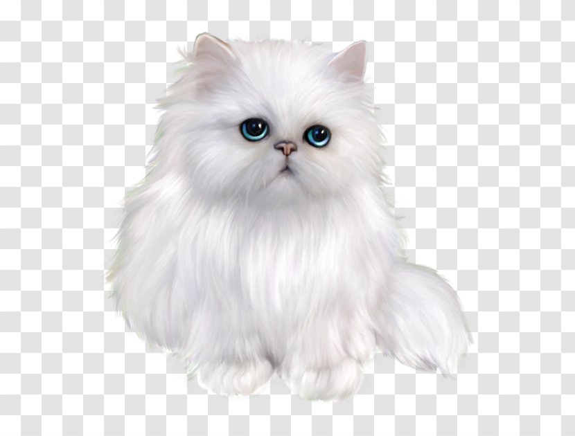 Persian Cat Himalayan Ragdoll Domestic Long-haired Kitten - Norwegian Forest - Head Transparent PNG