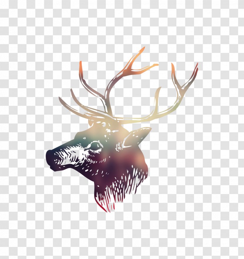 Reindeer Antler - Head - Deer Transparent PNG