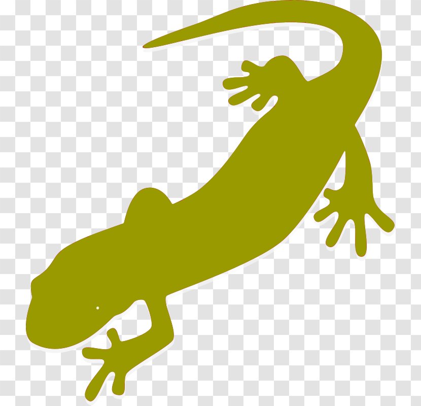 Salamander Child Newt Infant Clip Art - State Amphibian Transparent PNG