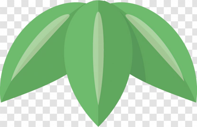 Green Leaf Plant Line Pattern - Tree Logo Transparent PNG