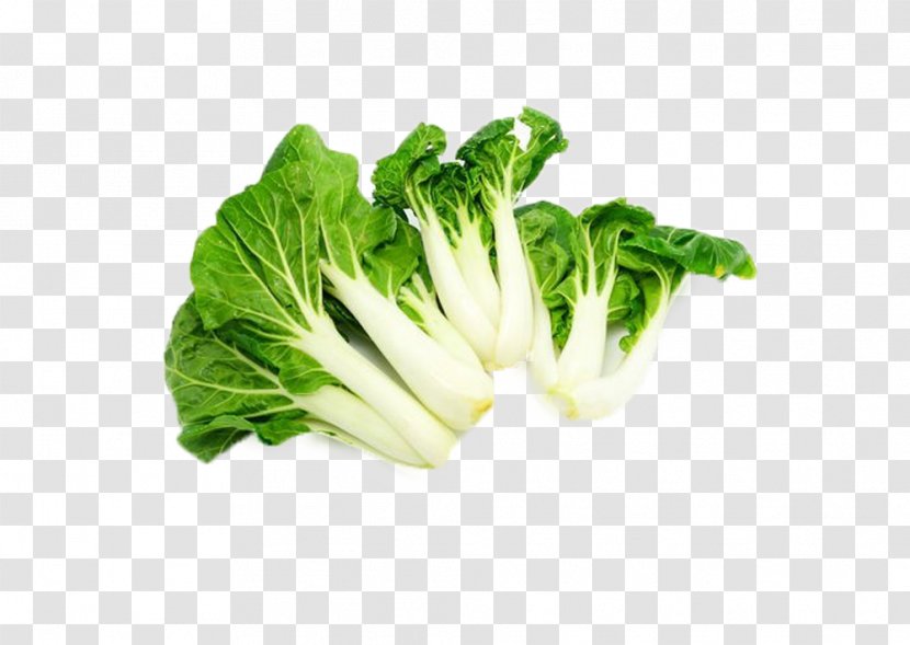 Chinese Cabbage Romaine Lettuce Napa Leaf Vegetable - Green Leafy Vegetables Transparent PNG
