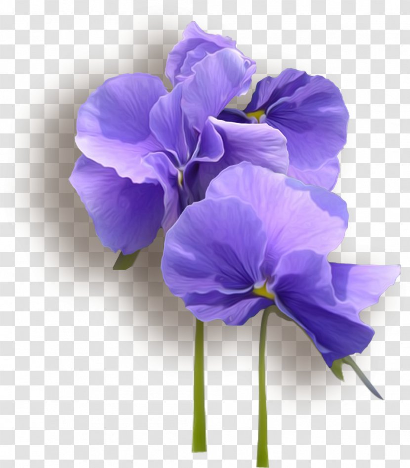 Viola Tricolor Clip Art - Pine - Elegant Violet Transparent PNG